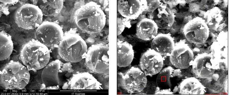 SEM RESULTS OF WATER BATH T4 (after 1 month) Holding Parameters: Water bath Time: 1 month Temperature: 55oC The SEM images of specimen which were subjected to 2% loading (T4, 1month) shown below show
