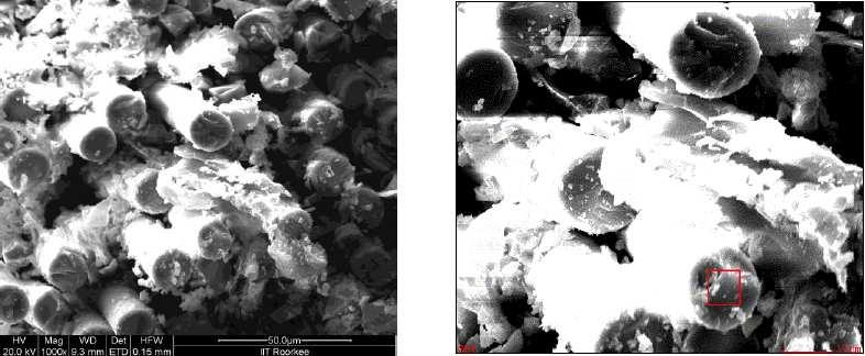 SEM IMAGES AFTER TWO MONTHS SEM AND EDS RESULTS OF WATER BATH T1 (after 2 months): Holding Parameters: Water bath Time: 2 month Temperature: 45 o C The SEM images of specimen which were subjected to