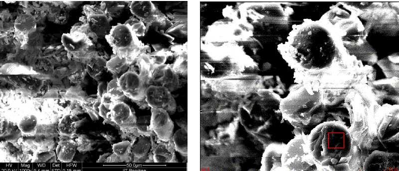 SEM RESULTS OF WATER BATH T4 (after 2 months) Holding Parameters: Water bath Time: 2 month Temperature: 55 o C The SEM images of specimen which were subjected to 2% loading (T4, 2months) shown below