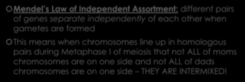 Mendel s Law of Independent Assortment: different pairs of genes separate independently of each other when gametes are formed This means when chromosomes line up in