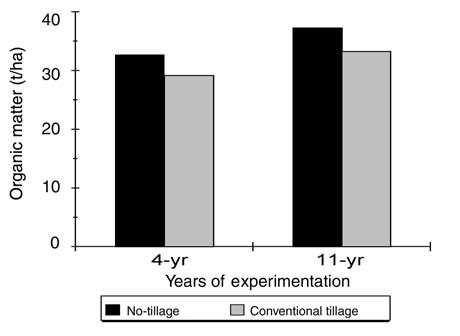 and disking needed only 8, 21, 17 and 18 days, respectively. Bouzza (1990) found that water storage efficiency is 1.5 times higher under chemical fallow than under clean fallow (Table 1).