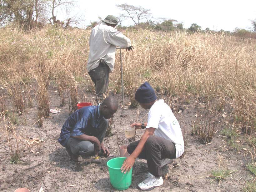 Hands-on field survey - measuring soil