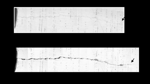 Crack length ( m) Crack length ( m) Crack length ( m) 266 Advanced Materials Science and Technology Fig. 3 Fatigue cracks before and after a single mode II loading.