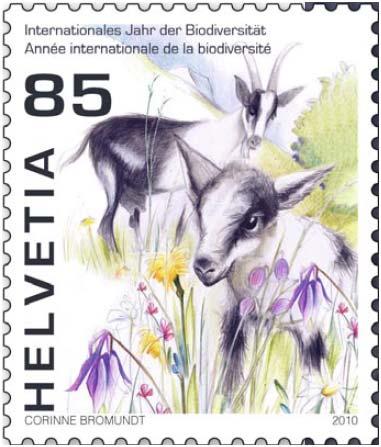 d) International Year of Biodiversity 2010 Efforts in Switzerland To mark the international year of Biodiversity, the FOAG produced, together with the Swiss Post, a postal stamp featuring a typical