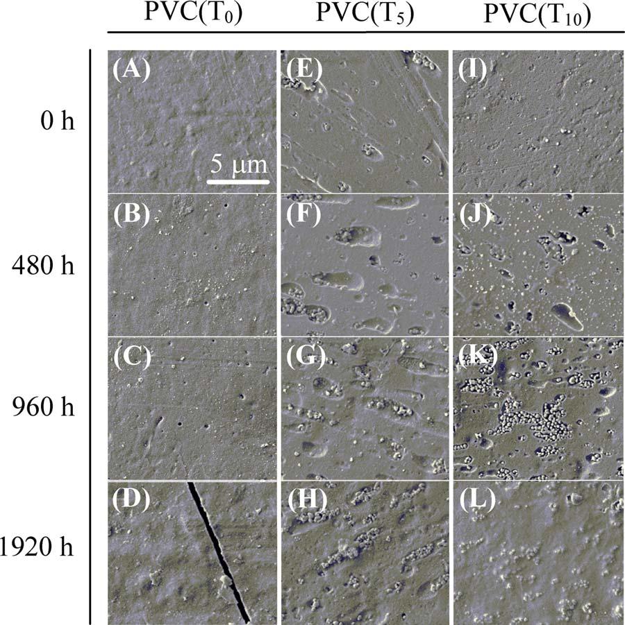 FIG. 1. SEM images of various composites over 1920 h of accelerated weathering. (A D): PVC(T 0 ), (E H): PVC(T 5 ), and (I L): PVC(T 10 ). [Color figure can be viewed at wileyonlinelibrary.