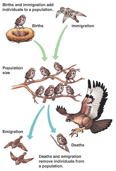 Ecology of Individuals physiological ecology temperature and water balance light and biological cycles physiological ecology and conservation Ecology of Populations Population Ecology = the study of