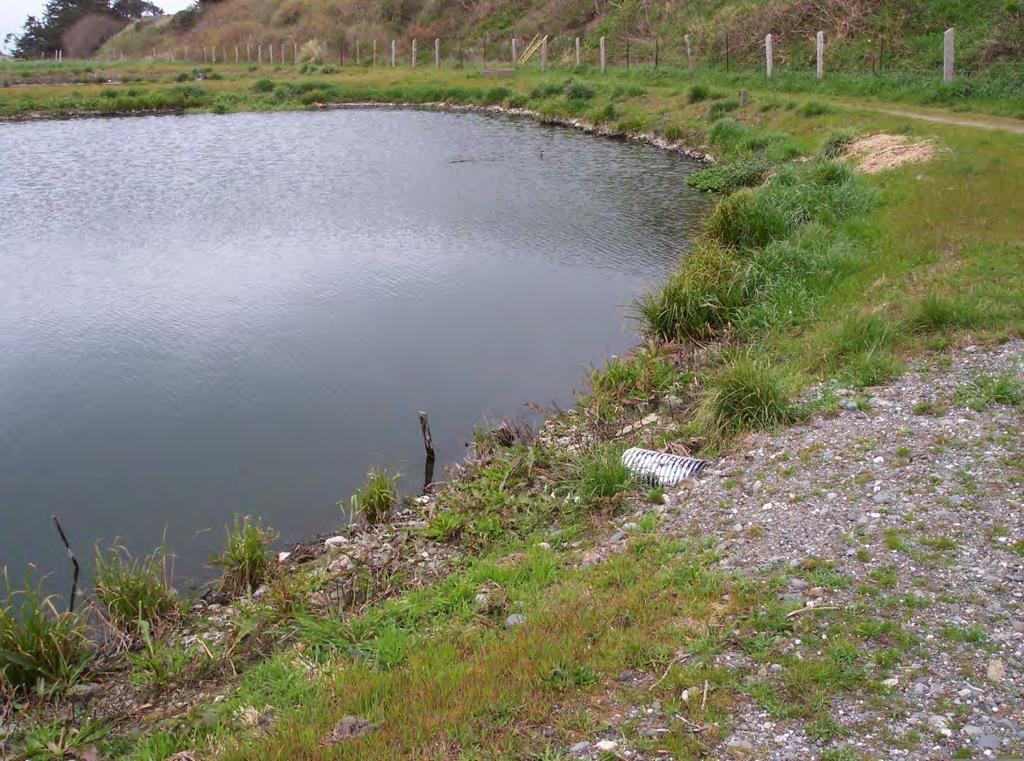 Wastewater Ponds Variety of Oregon communities use ponds including: Yoncalla Gervais Dufur Wedderburn Condon