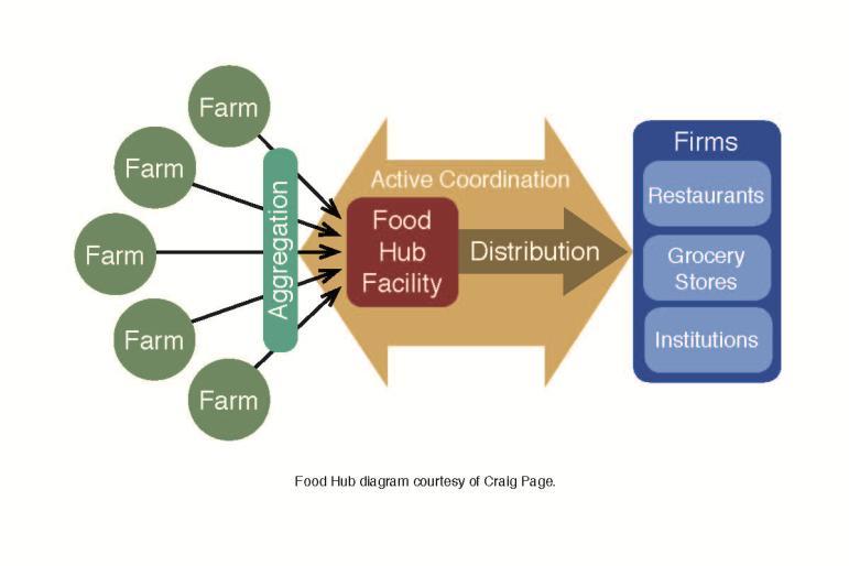 Figure 1. A diagram of a food hub illustrating the key components of aggregating products from many farms, distributing these to wholesale buyers, and actively matching supply to demand.