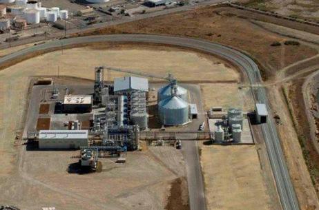Western Biorefineries Strategically located in the feed and fuel
