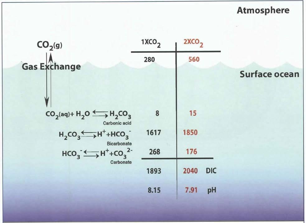 CO 2 system in seawater [ppm] [µmol kg