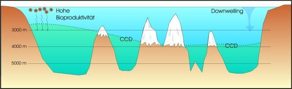 Carbonate dissolution and CCD seafloor deeper than CCD will be devoid of carbonate sediments Depth of CCD varies; higher in the Pacific because deep water in the Pacific has more CO 2 (more