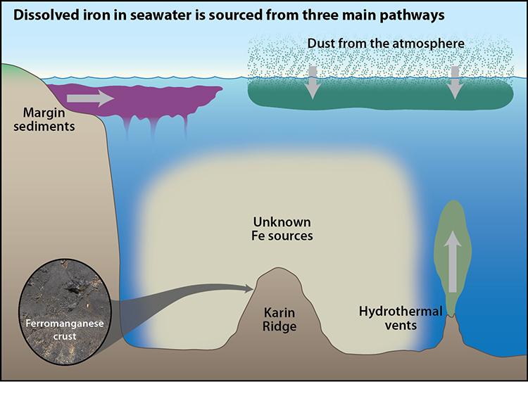Sources and pathways of iron deep ocean as a major source of dissolved