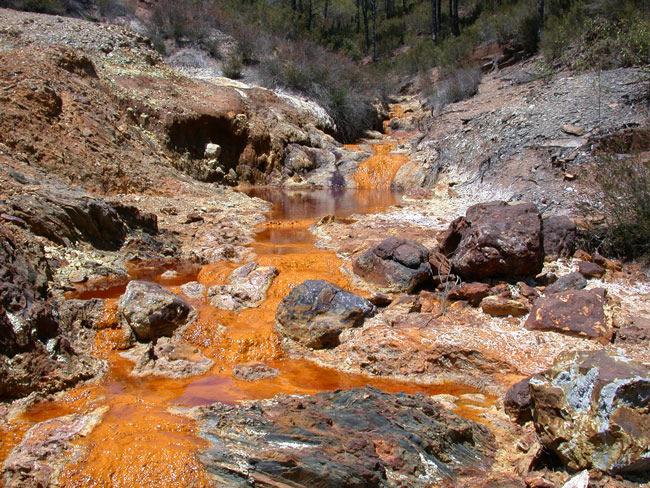 An example SA government will spend an estimated R1,2-billion to clean up acidic water threatening to spill out from abandoned gold mines under Johannesburg this comes out of the taxpayer s pocket.