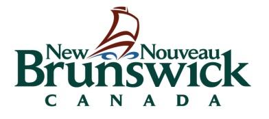 PROVINCE OF NEW BRUNSWICK DEPARTMENT OF ENERGY AND RESOURCE DEVELOPMENT Minerals and