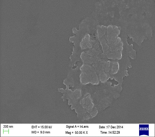 Particle size 45nm 63nm