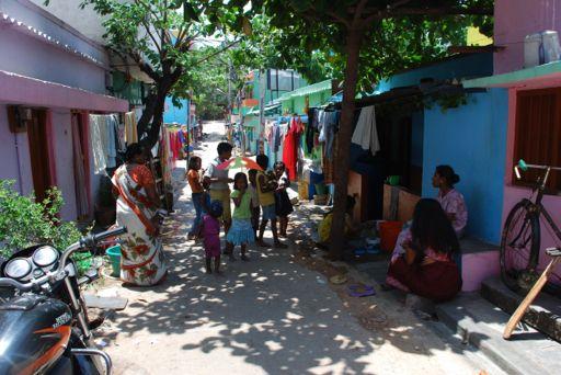 Trees and plants play a central role in slums Dominated by