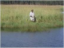 Restoring wetlands to secure water supply CBD Objectives CBD Strategic Goal B.