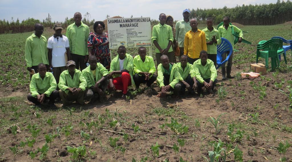 Tuinuane Kilimo Group in the bean demonstration plot in Missenyi District in Kagera region, Tanzania.
