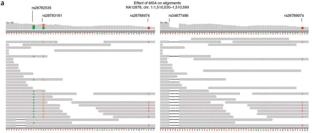 Indel Realignment DePristo MA, et al. A framework for variation discovery and genotyping using next-generation DNA sequencing data. Nat Genet. 2011 May; 13(5):191-8.