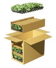 Protect flowers and plants from temperature extremes that may occur during shipment or after delivery at the recipient s location; for climate protection, see the perishables section of the How to