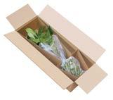 The soil inside the box must also be contained. Place the pot in a plastic bag and secure the top opening of the bag around the stem of the plant.