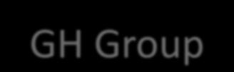 GH Group GH Group is a vibrant and boutique aviation experts group dedicated to meeting the needs of the business society and private wealth clients who wish to integrate business or private aircraft