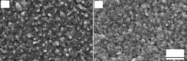 542 J. Mater. Sci. Technol., Vol.23 No.4, 2007 Fig.1 Surface morphology of M38 cast alloy (a), and its sputtered coating (b) after 100 h oxidation at 900 C Fig.