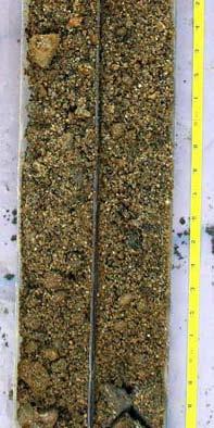 sediments. The majority of vibracore samples were taken in the San Lorenzo River alluvial channel. Several vibracore samples were taken in the Neary Lagoon and Woods/Schwan Lagoon alluvial channels.