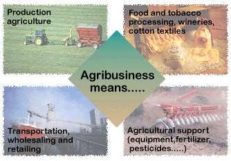 What is Agribusiness?