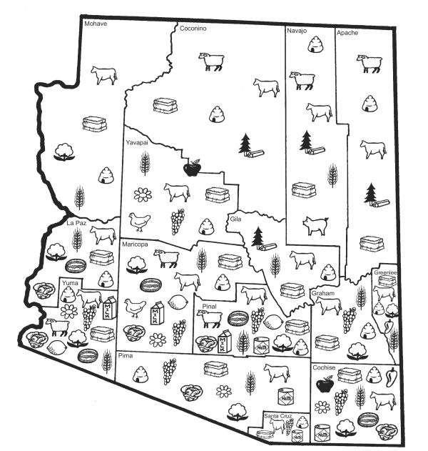 Arizona Agriculture Top Commodities: Dairy Cattle & Calves (Beef)