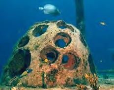 artificial reefs can also provide space for organisms and