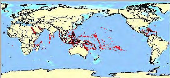 Where are reefs found?