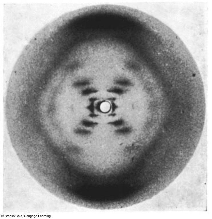 Rosalind Franklin s X-Ray