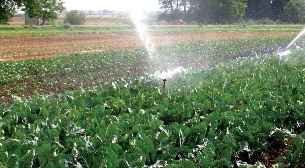 Irrigation management a crucial factor An Australian study showed that more sophisticated irrigation systems and scheduling tools do not necessarily lead to better irrigation performance.