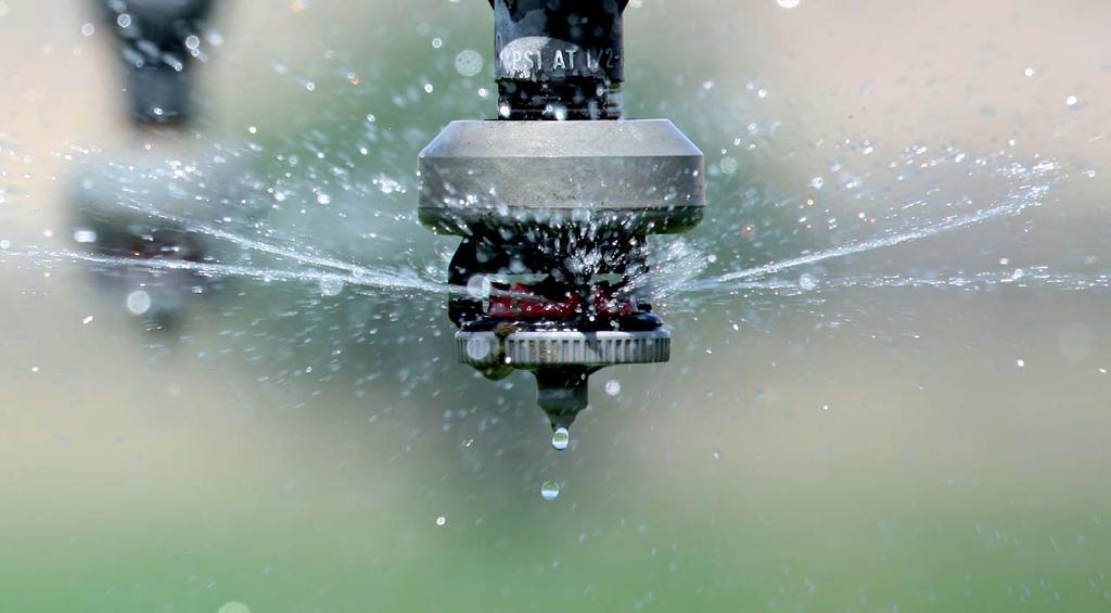 Is trickle more efficient than sprinklers? Potentially yes but in practice it all depends on how well it is managed. A good manager can operate sprinklers and rainguns just as efficiently as trickle.