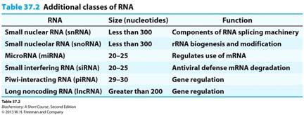 BCMB 3100 Chapters 36-38 Transcription & RNA Processing Biological information flow Definition of gene RNA Polymerase Gene coding vs template strand Promoter Transcription in E.