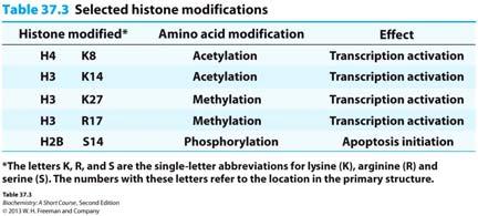 12 Histone acetylation activates transcription by: 1.reducing affinity of histones for DNA 2. Recruting components of transcription machinery 3.