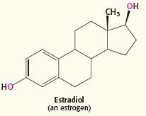 Estradiol controls the genes in the development of female secondary sex characteristics.