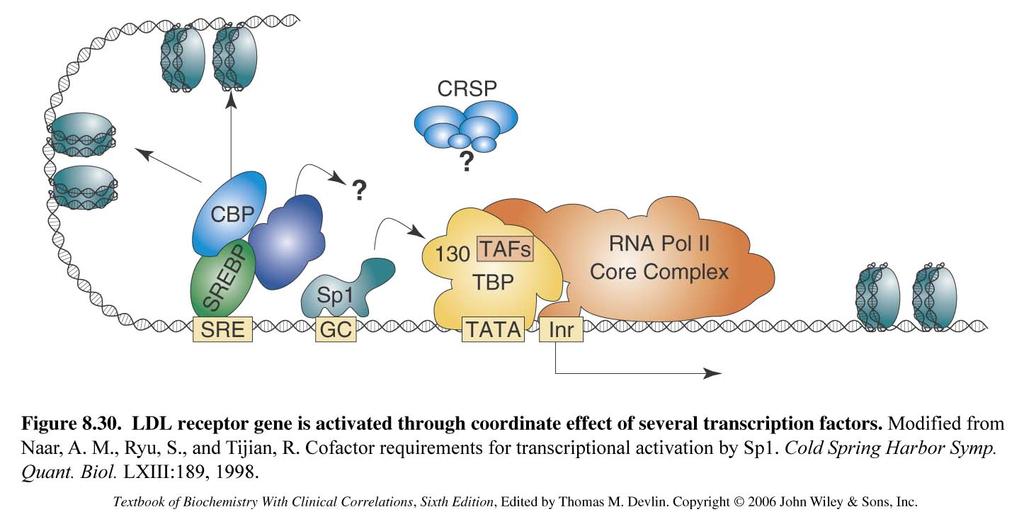 Multiple transcription factor-binding sites regulate eukaryotic transcription Promoter regulatory regions on DNA (example of LDL receptor gene) Other proteins can bridge between the TF and the