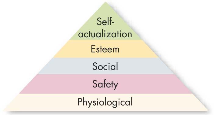 Maslow s Hierarchy of Needs Lower-Order Needs Needs that are satisfied externally; physiological and safety