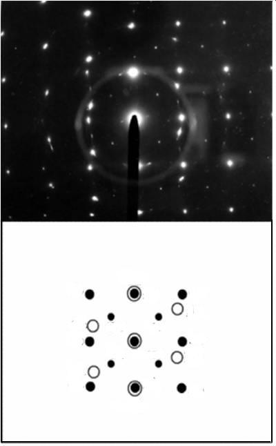 The α and β phases, and the various intermetallic precipitates are indicated by arrowhead as: (a) α phase, (b) β phase, (c) large dendritic particles, (d) smaller dendritic particles, (e) globular