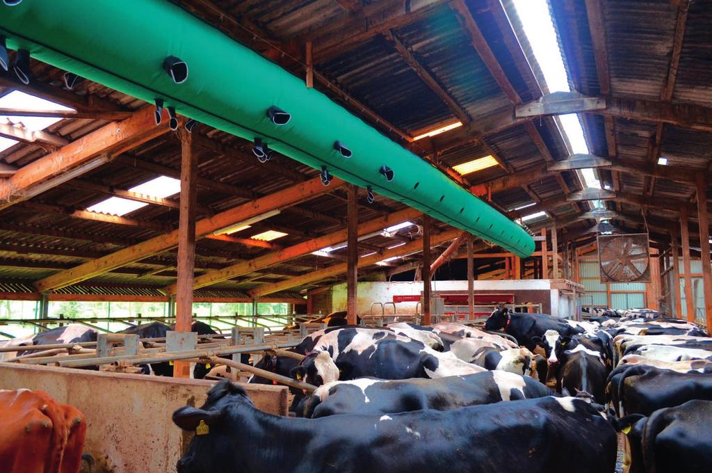 2 WE GUARANTEE FOR COWS: Cooling and ventilation via fresh air flowing directly to the animal Cooling via faster air speeds No energy loss 100% of the fresh air is delivered to the livestock area