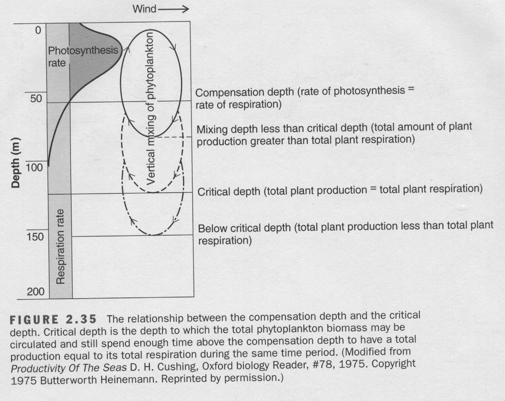 The Compensation depth is a physiological concept: The depth at which the rate of photosynthesis for an