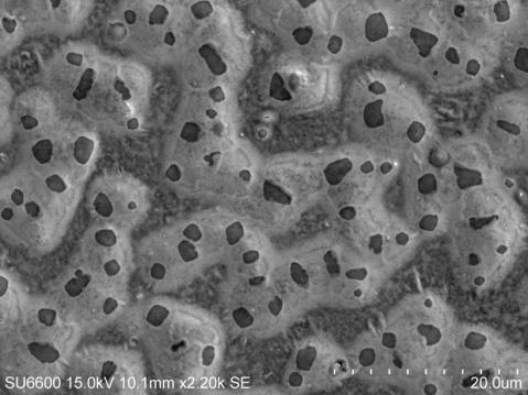 To help in understanding the significant difference in the surface morphology for ohmic contacts after annealing, scanning electron microscopy (SEM) images and atomic force microscopy (AFM) images