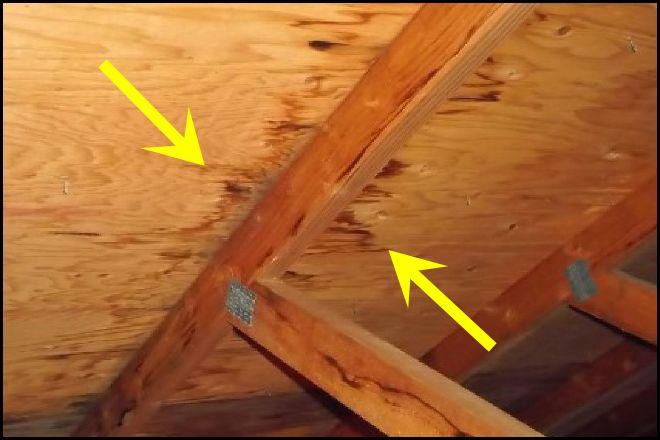 ATTIC Inspection of the attic includes identifying the type of attic framing, structural deficiencies with the roof and ceiling components and flagging deficiencies with the attic (including water