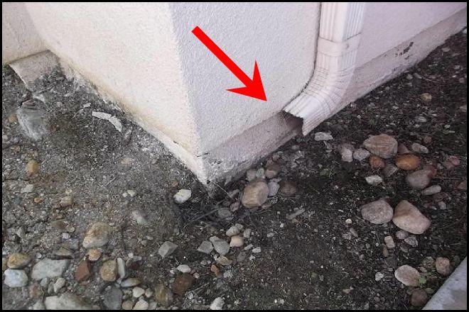One or more of the downspouts discharges roof runoff water too close to the foundation.