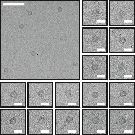 Figure S2. TEM images of closed spheres.
