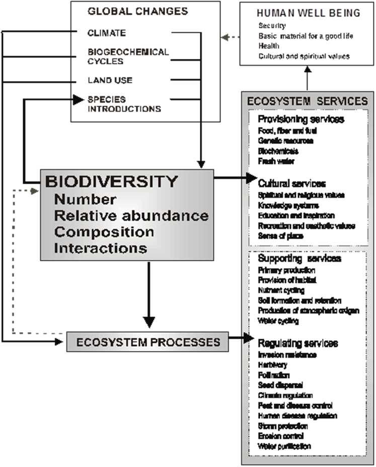 Explosion of ways of understanding & valuing ES Management/ Restoration Ecosystems &