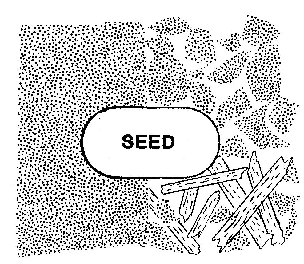Seed Germination - Imbibition Good seed-soil contact Fine, firm seedbed Poor seed-soil contact Crop residue, clods, stones Ψ = -2 MPa Water Seed water uptake affected