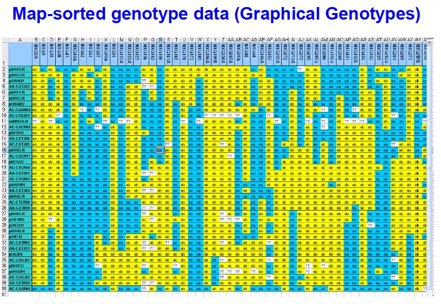 Map sorted genotype data = graphical genotypes